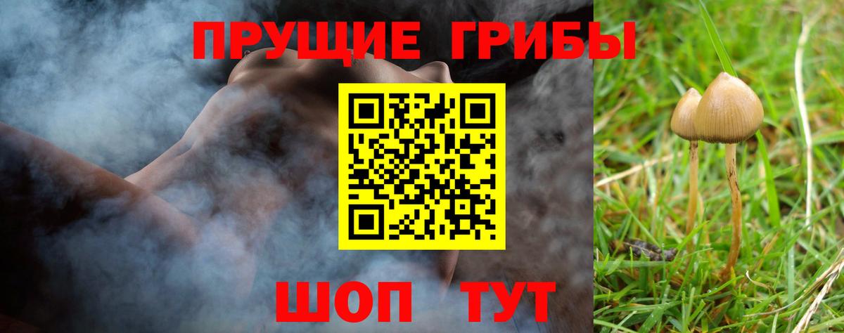 Карталы  Псилоцибиновые грибы MAGIC MUSHROOMS  Вход с VPN 